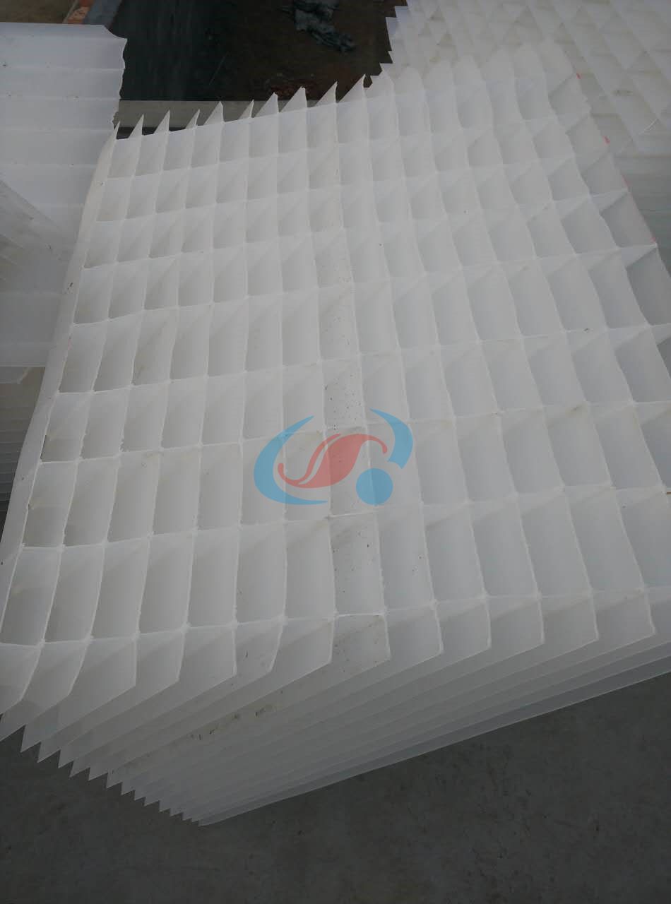 1586141976827535.jpg 1586141976827535.jpg