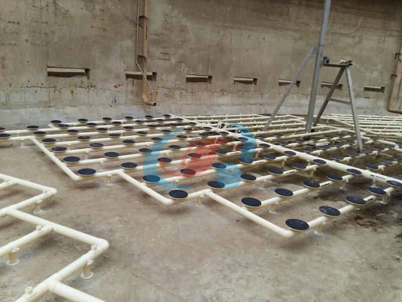 1602994518333256.jpg mmexport1582088570546.jpg